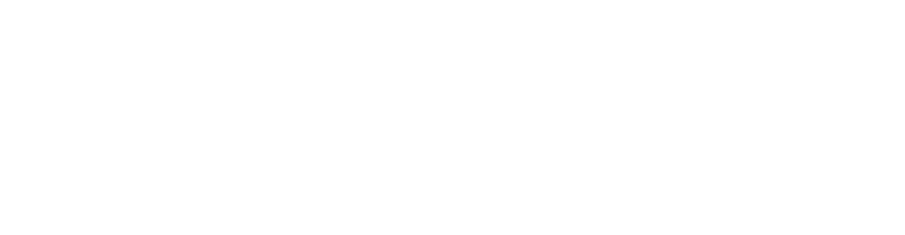 briteskies logo